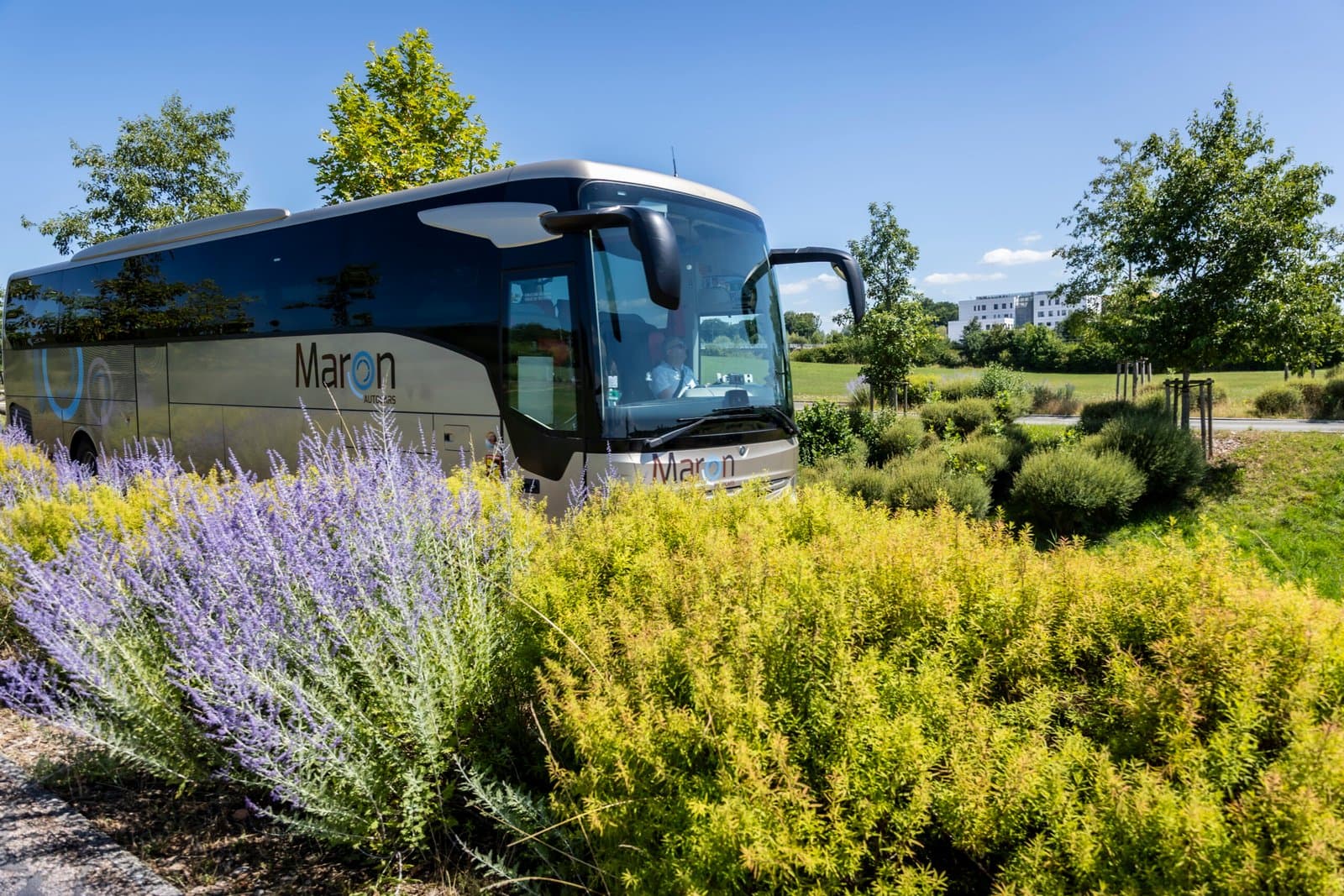 Autocars Maron